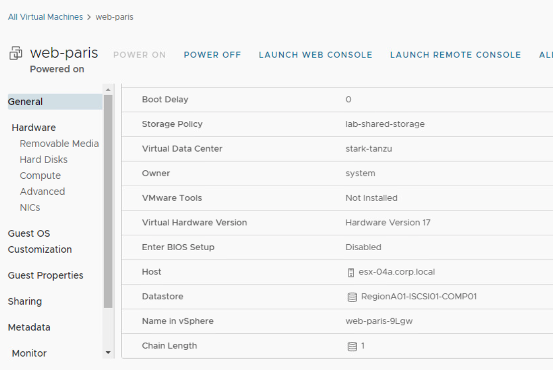 vCloud Director VM details